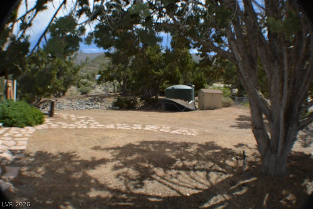 1321 Trout Canyon, Pahrump, NV 89061