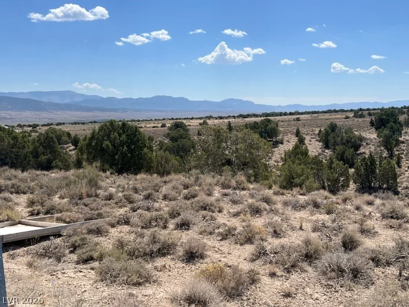 Pinyon Pine, Ely, NV 89301