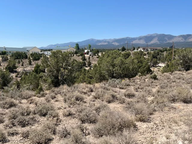 Pinyon Pine, Ely, NV 89301