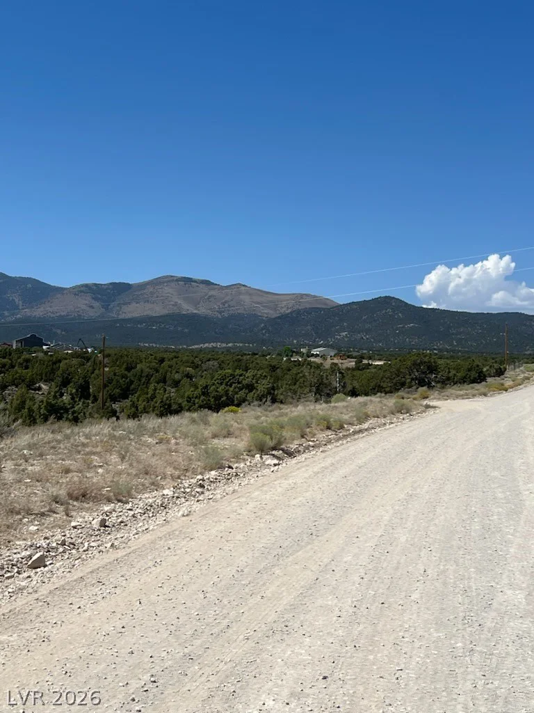 Pinyon Pine, Ely, NV 89301