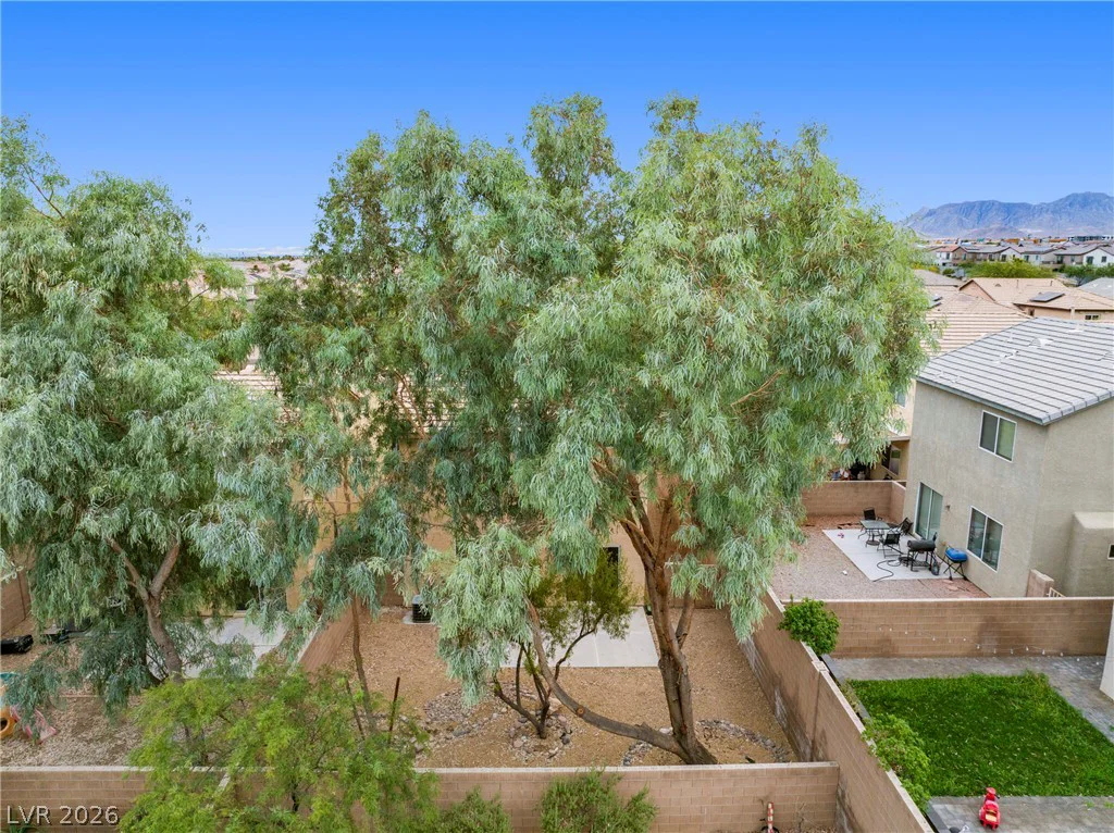 9132 BLUE RAVEN, Las Vegas, NV 89143