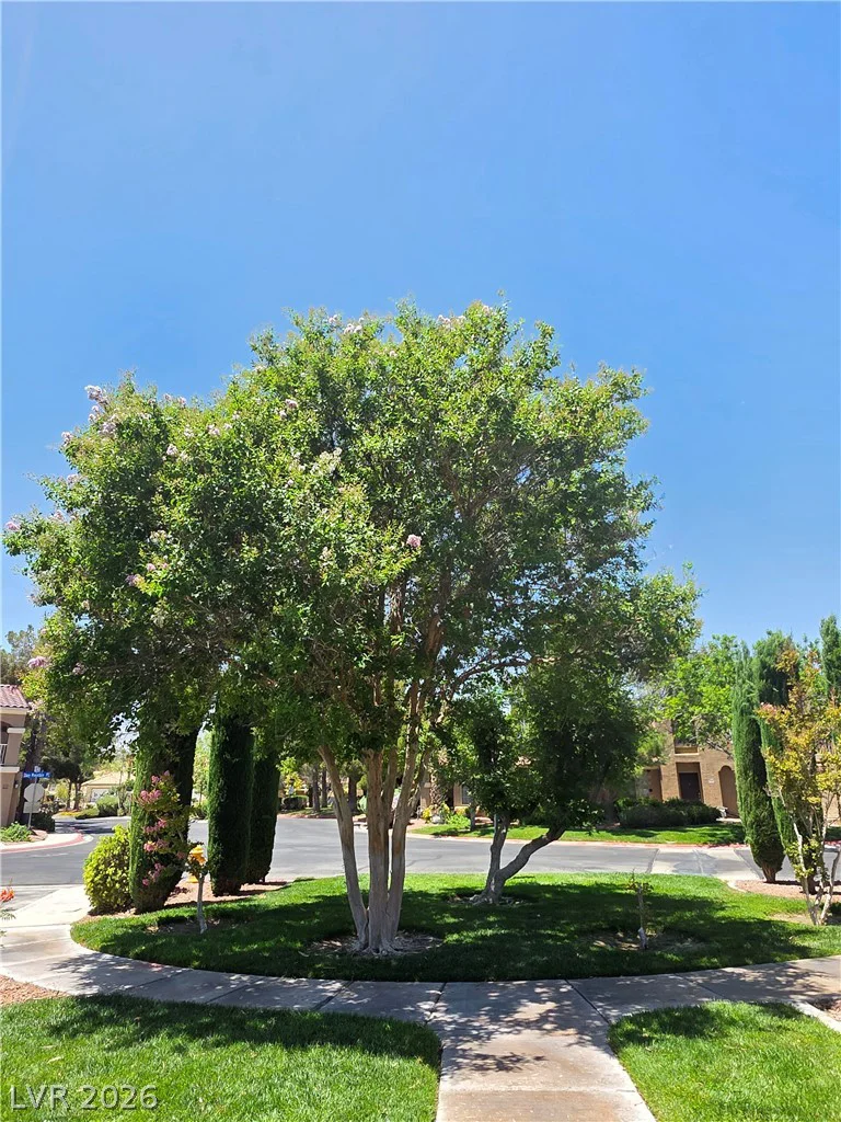 7290 Sheared Cliff, Las Vegas, NV 89149