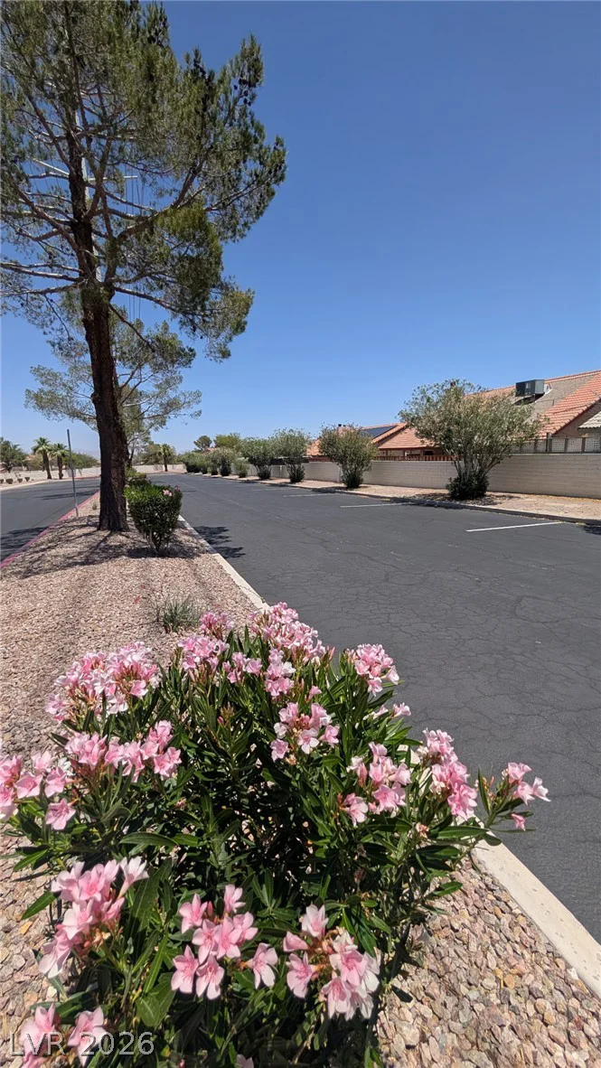 1113 Sulphur Springs, Las Vegas, NV 89128