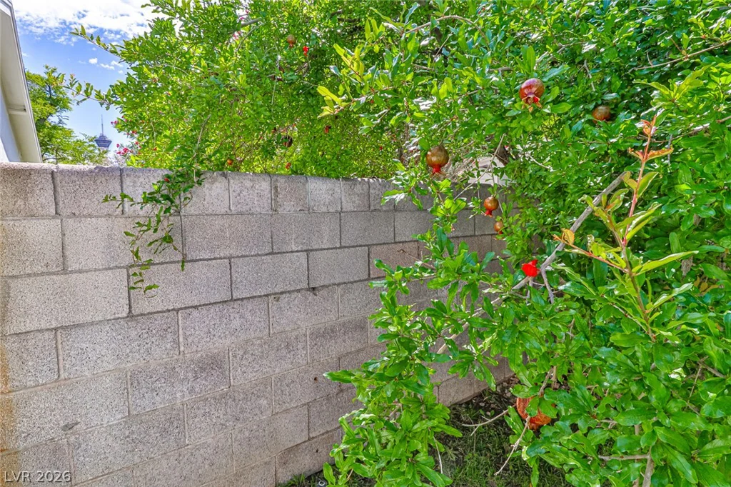 1605 Bryn Mawr, Las Vegas, NV 89102