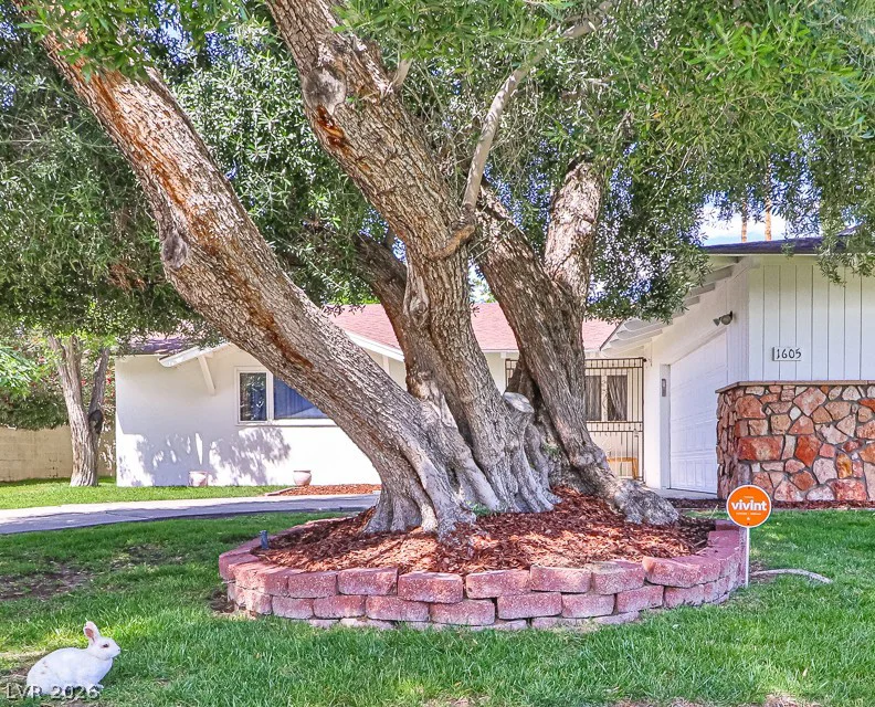 1605 Bryn Mawr, Las Vegas, NV 89102