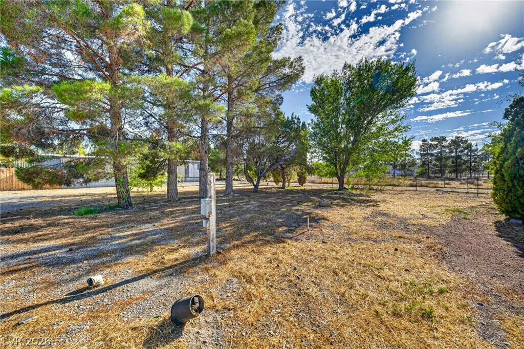 771 Irene, Pahrump, NV 89060