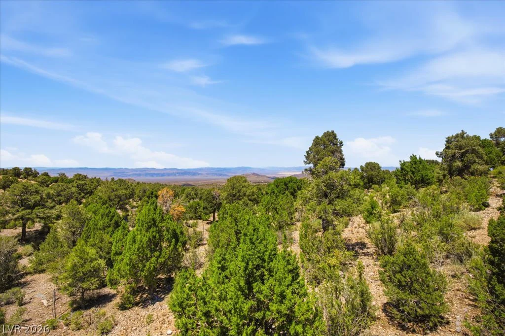 154 Oak Trail, Cold Creek, NV 89124