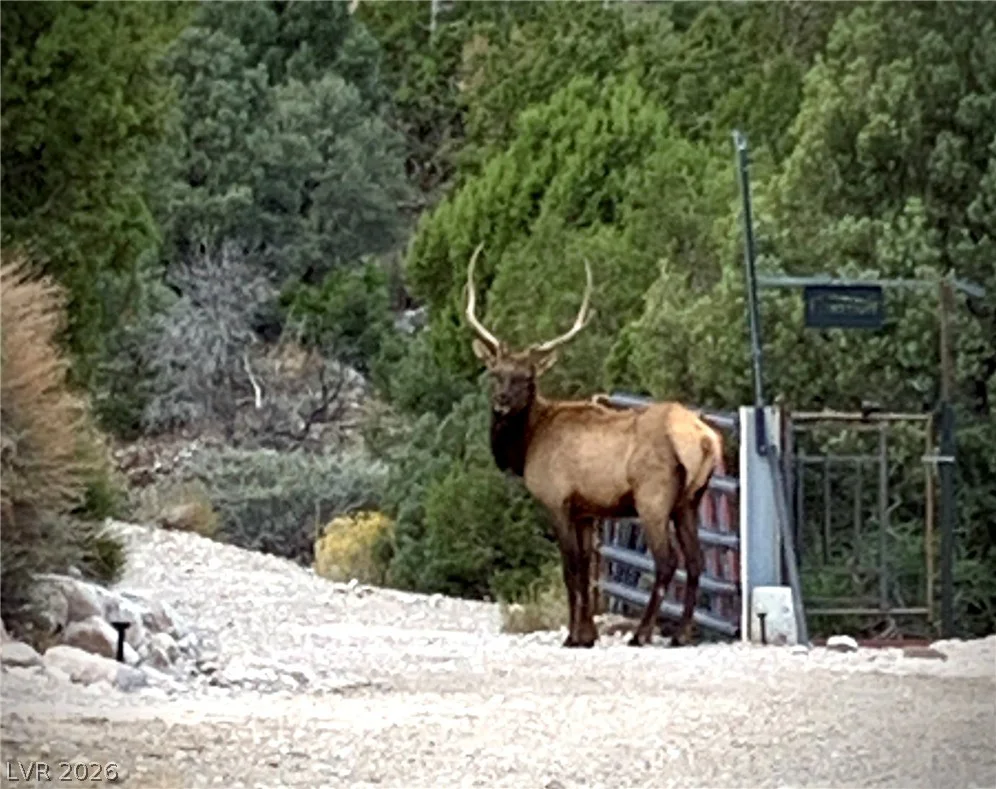 154 Oak Trail, Cold Creek, NV 89124