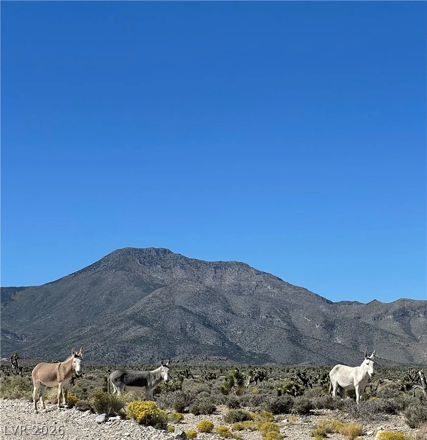 154 Oak Trail, Cold Creek, NV 89124
