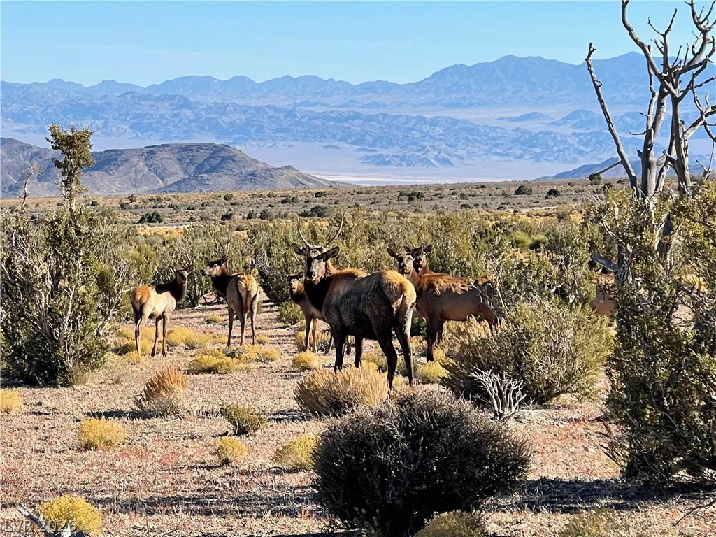 154 Oak Trail, Cold Creek, NV 89124