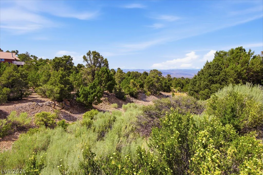 155 Oak Trail Circle, Cold Creek, NV 89124