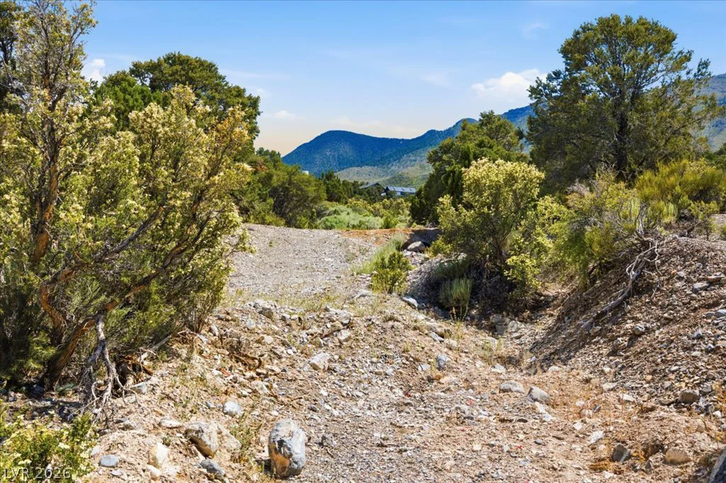 155 Oak Trail Circle, Cold Creek, NV 89124