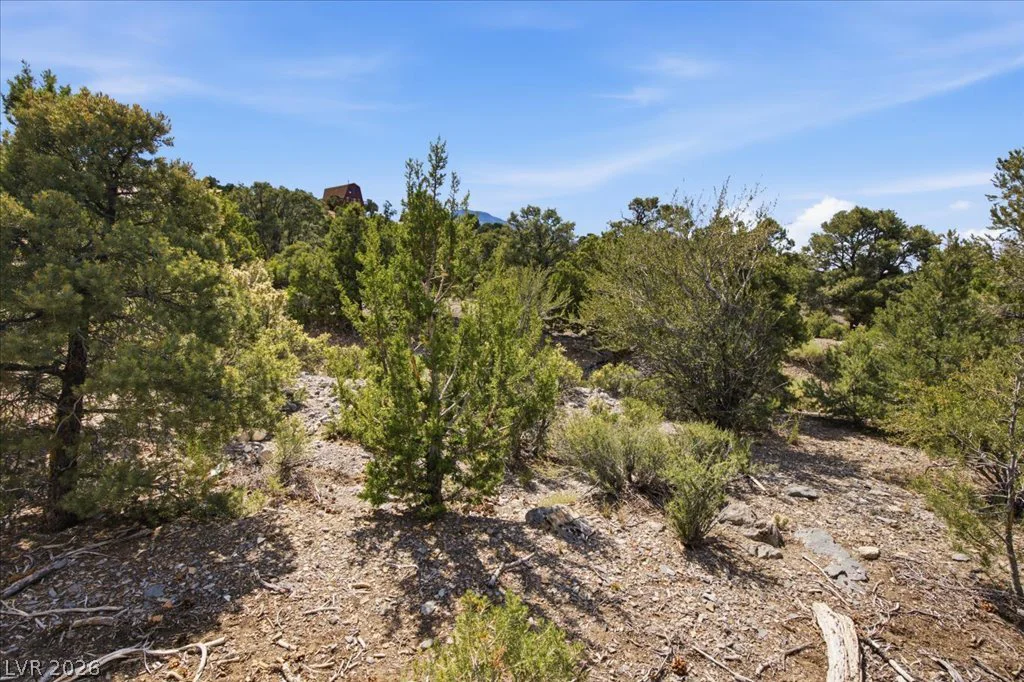 155 Oak Trail Circle, Cold Creek, NV 89124