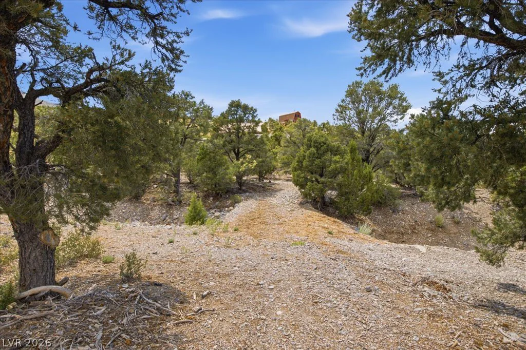 155 Oak Trail Circle, Cold Creek, NV 89124