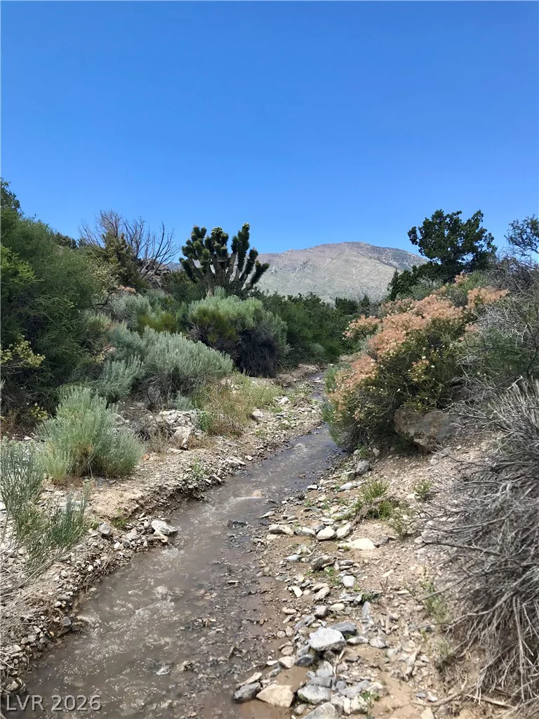 155 Oak Trail Circle, Cold Creek, NV 89124