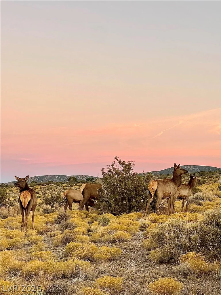 155 Oak Trail Circle, Cold Creek, NV 89124
