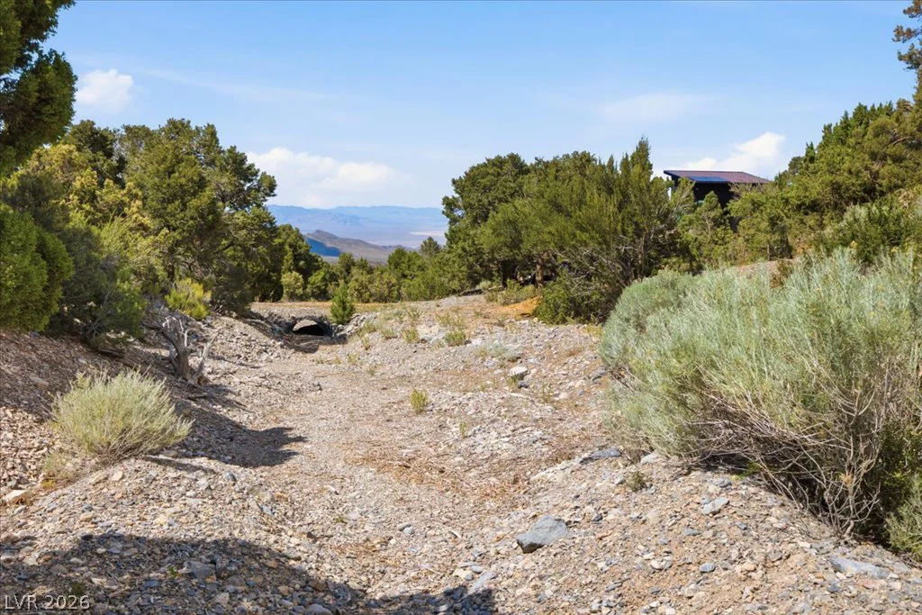 155 Oak Trail Circle, Cold Creek, NV 89124