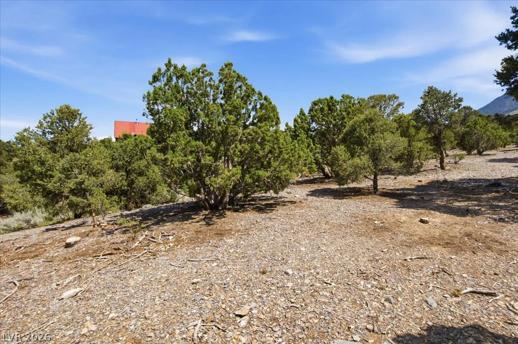 155 Oak Trail Circle, Cold Creek, NV 89124