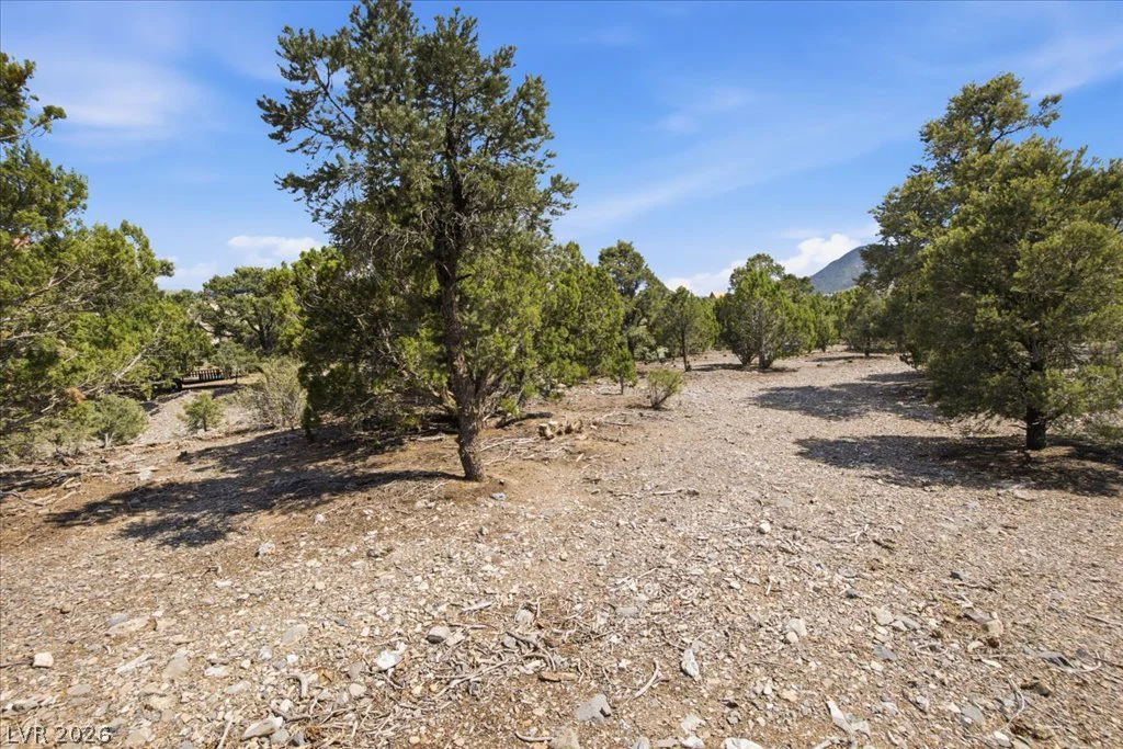 155 Oak Trail Circle, Cold Creek, NV 89124
