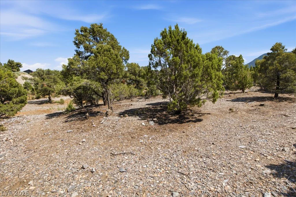 155 Oak Trail Circle, Cold Creek, NV 89124