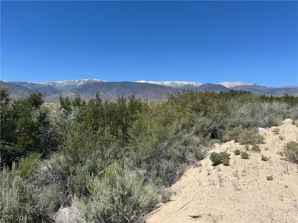 360 MOUNTAIN CREEK, Dyer, NV 89010