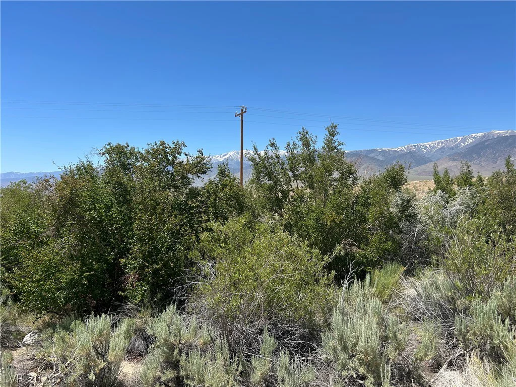 360 MOUNTAIN CREEK, Dyer, NV 89010