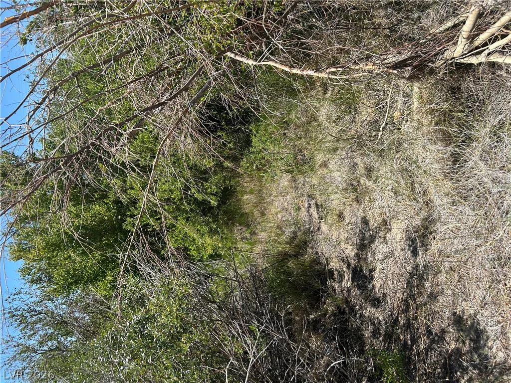 360 MOUNTAIN CREEK, Dyer, NV 89010
