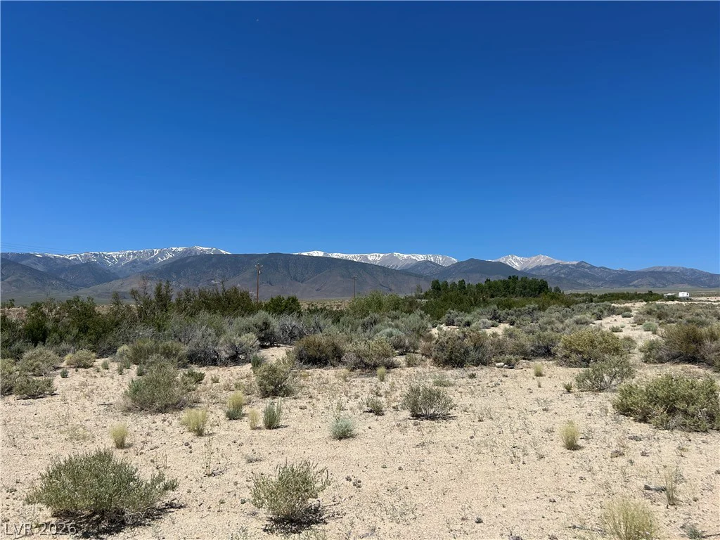 360 MOUNTAIN CREEK, Dyer, NV 89010
