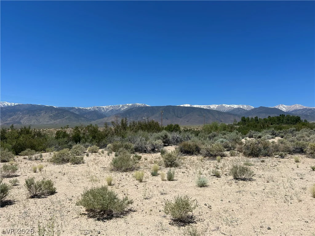360 MOUNTAIN CREEK, Dyer, NV 89010