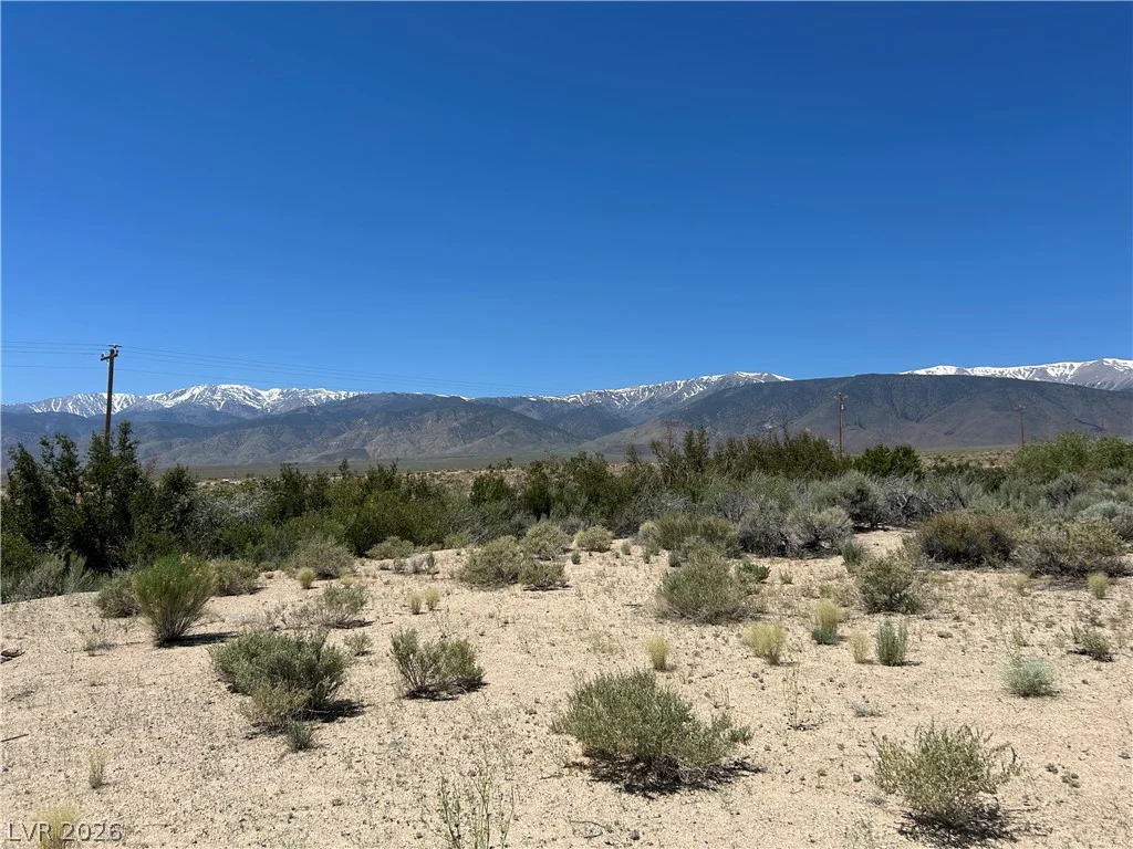 360 MOUNTAIN CREEK, Dyer, NV 89010