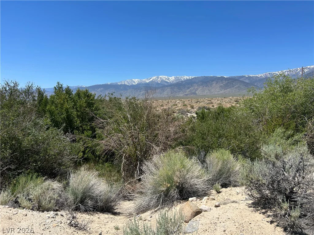 360 MOUNTAIN CREEK, Dyer, NV 89010