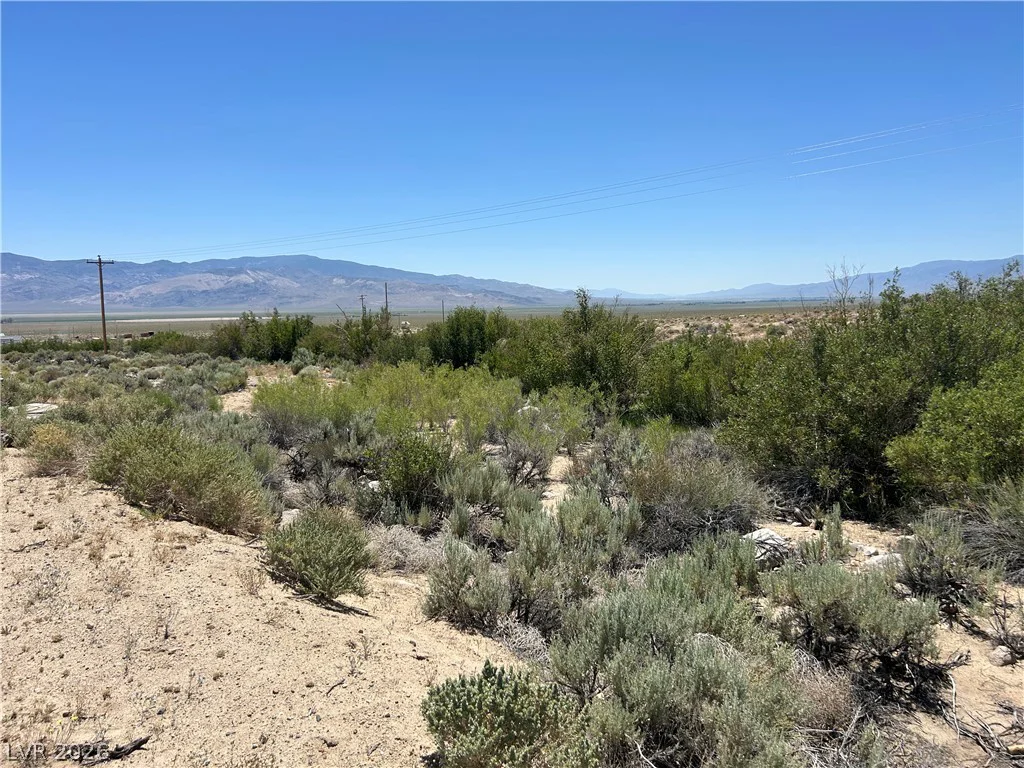 360 MOUNTAIN CREEK, Dyer, NV 89010