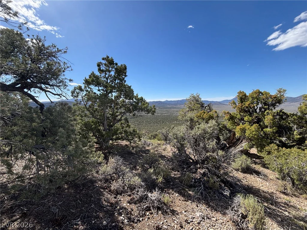 Off of Lackawana Road, Ely, NV 89301
