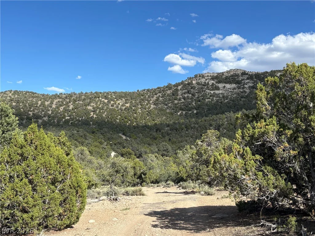 Off of Lackawana Road, Ely, NV 89301