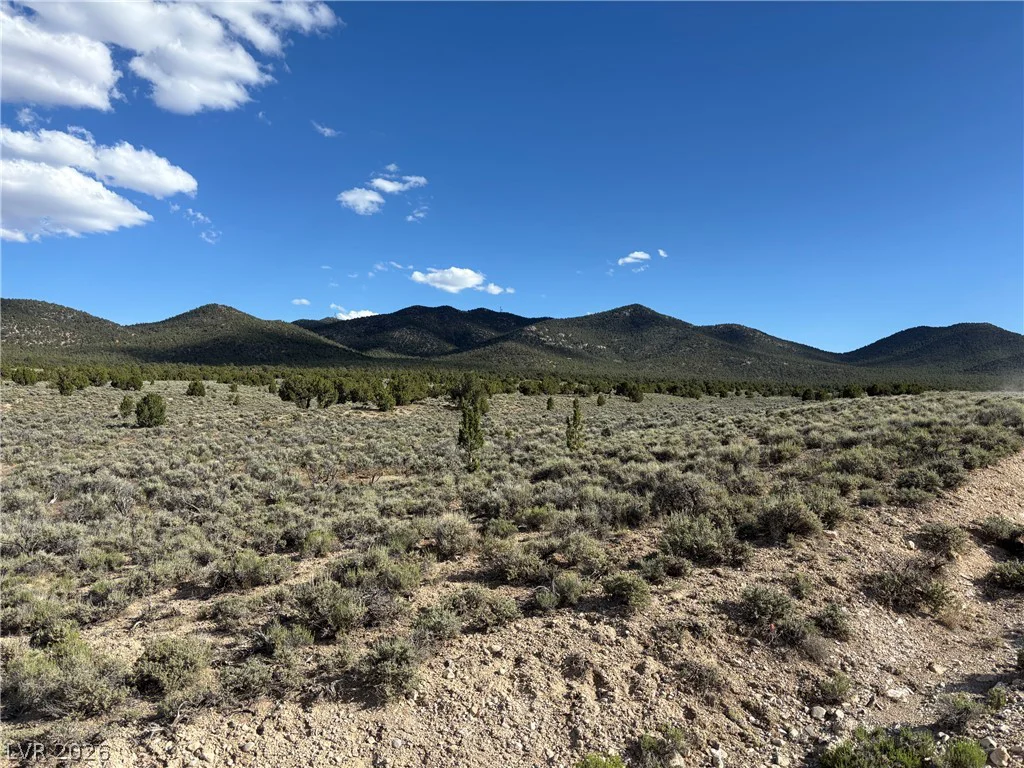 Off of Lackawana Road, Ely, NV 89301
