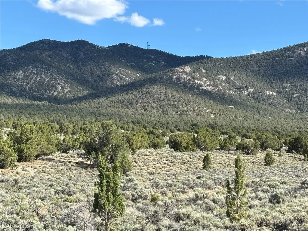 Off of Lackawana Road, Ely, NV 89301
