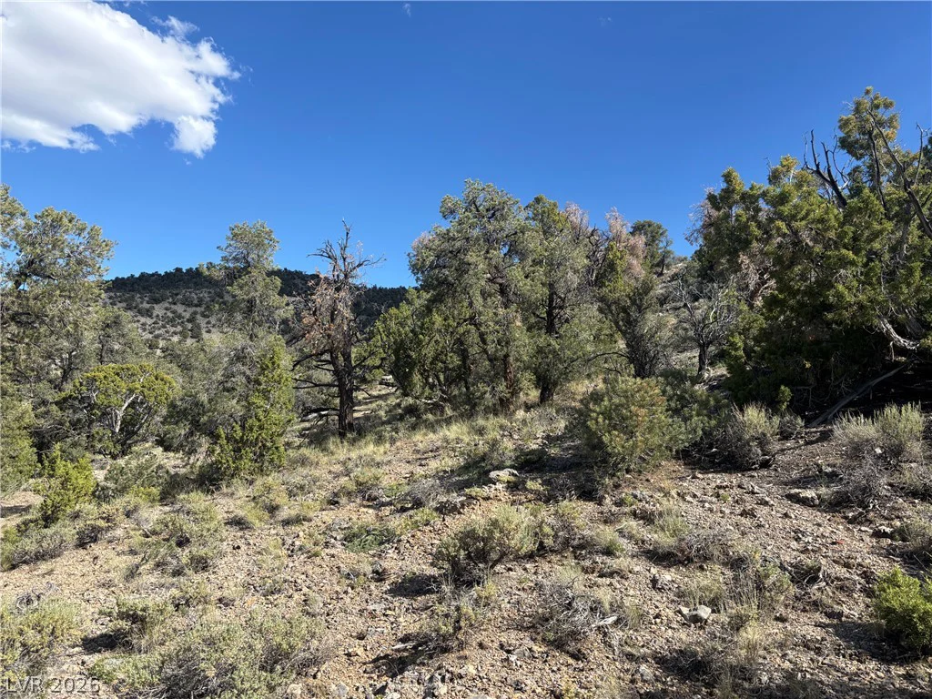Off of Lackawana Road, Ely, NV 89301