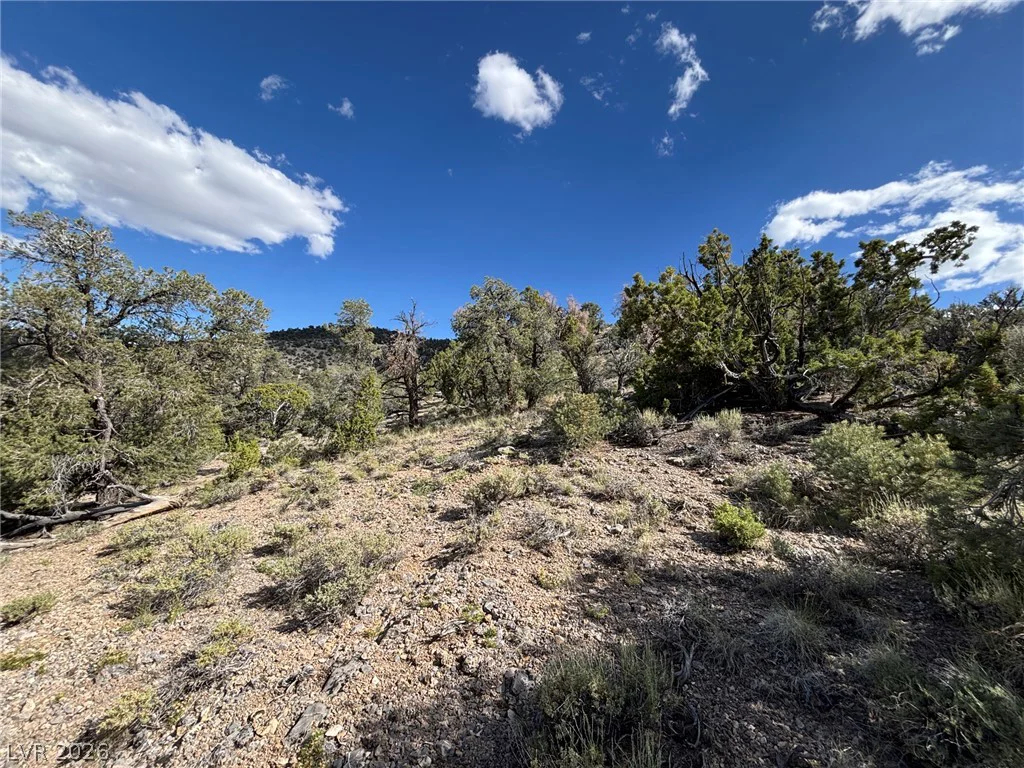 Off of Lackawana Road, Ely, NV 89301
