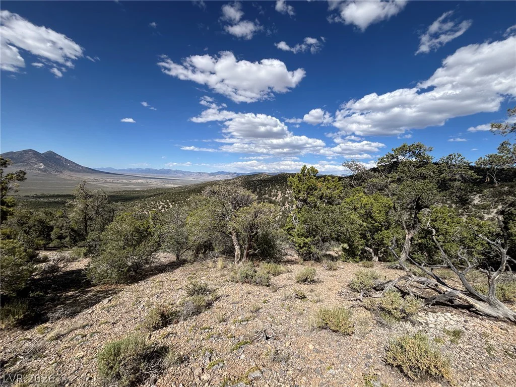 Off of Lackawana Road, Ely, NV 89301