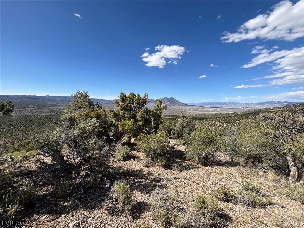 Off of Lackawana Road, Ely, NV 89301