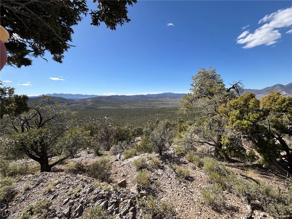 Off of Lackawana Road, Ely, NV 89301