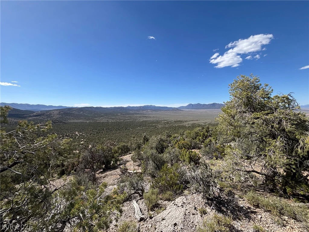 Off of Lackawana Road, Ely, NV 89301