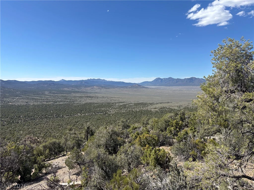 Off of Lackawana Road, Ely, NV 89301