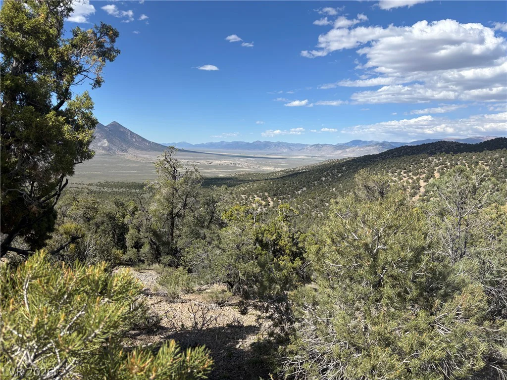 Off of Lackawana Road, Ely, NV 89301