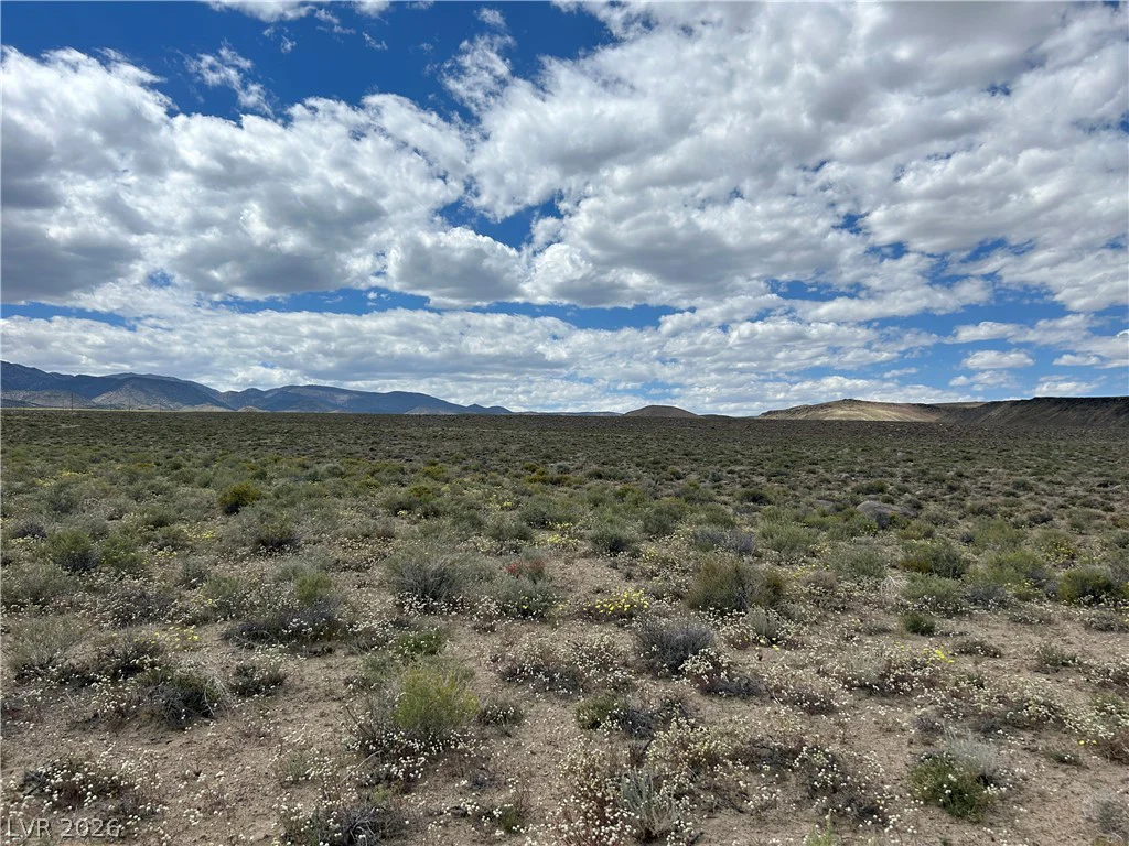 510 GILLUM, Dyer, NV 89010
