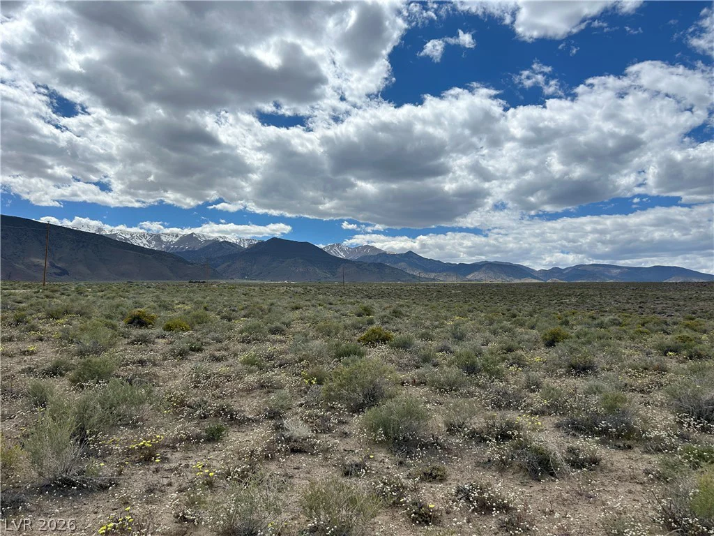 510 GILLUM, Dyer, NV 89010