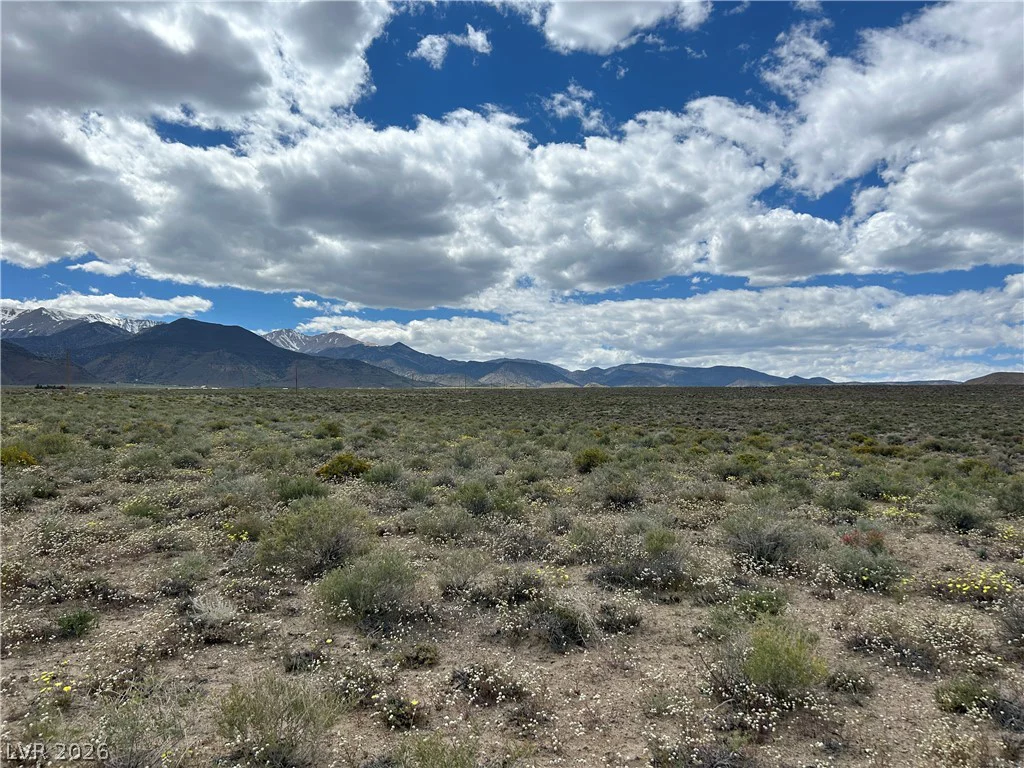 510 GILLUM, Dyer, NV 89010