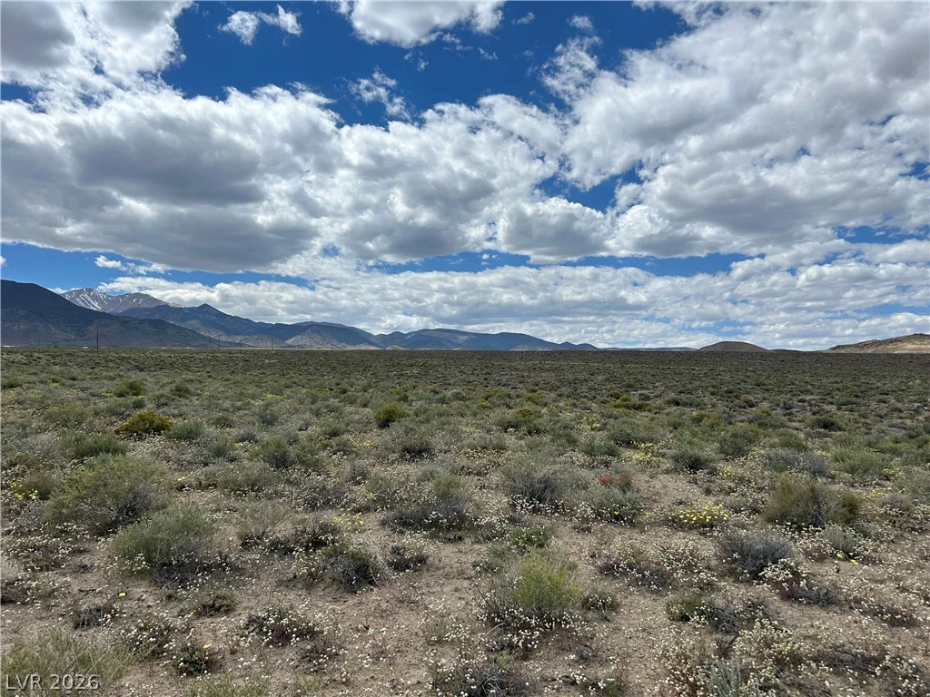 510 GILLUM, Dyer, NV 89010