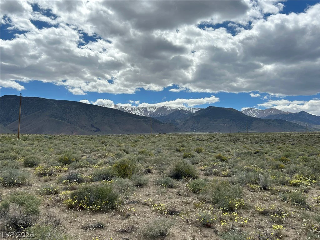 510 GILLUM, Dyer, NV 89010
