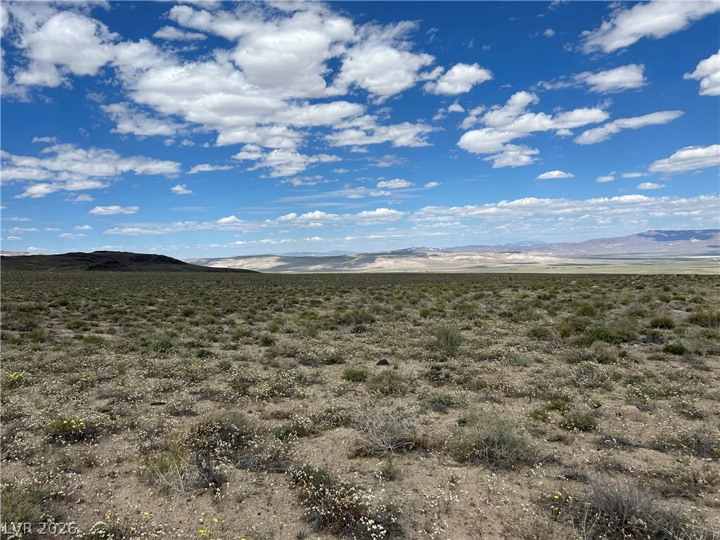 510 GILLUM, Dyer, NV 89010